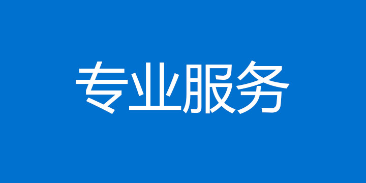 专业咨询服务
